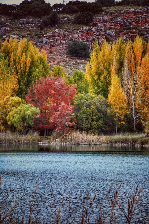 Cr Lagunas De Ruidera Sin Piscina אוסה דה מונטיאל מראה חיצוני תמונה